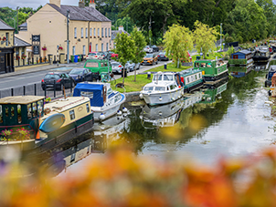 Sallins