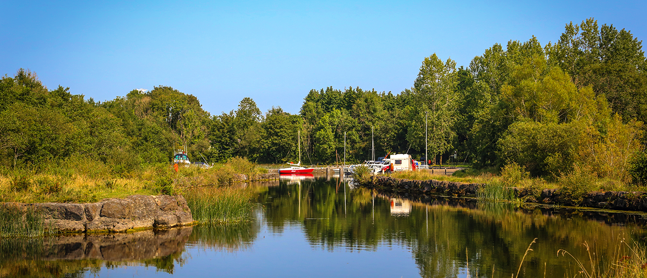 Williamstown (Dromaan)