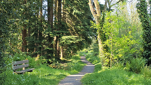 Castle Archdale Riverside Walk