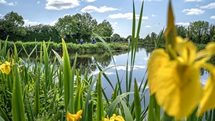 Resolving Encroachments on Waterways Ireland's navigations and property