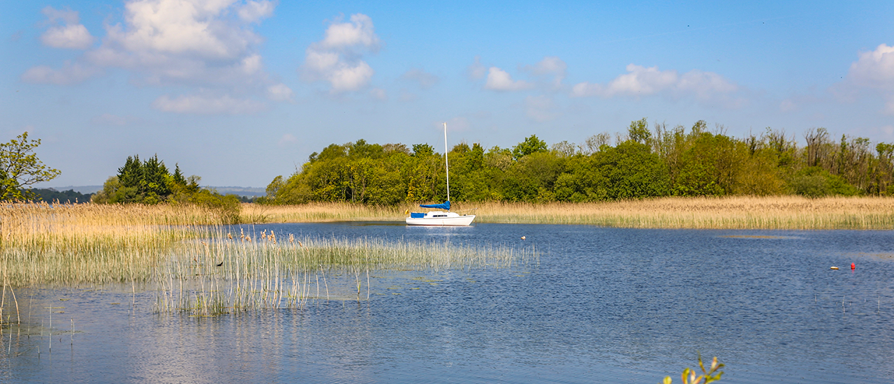 Image One Description