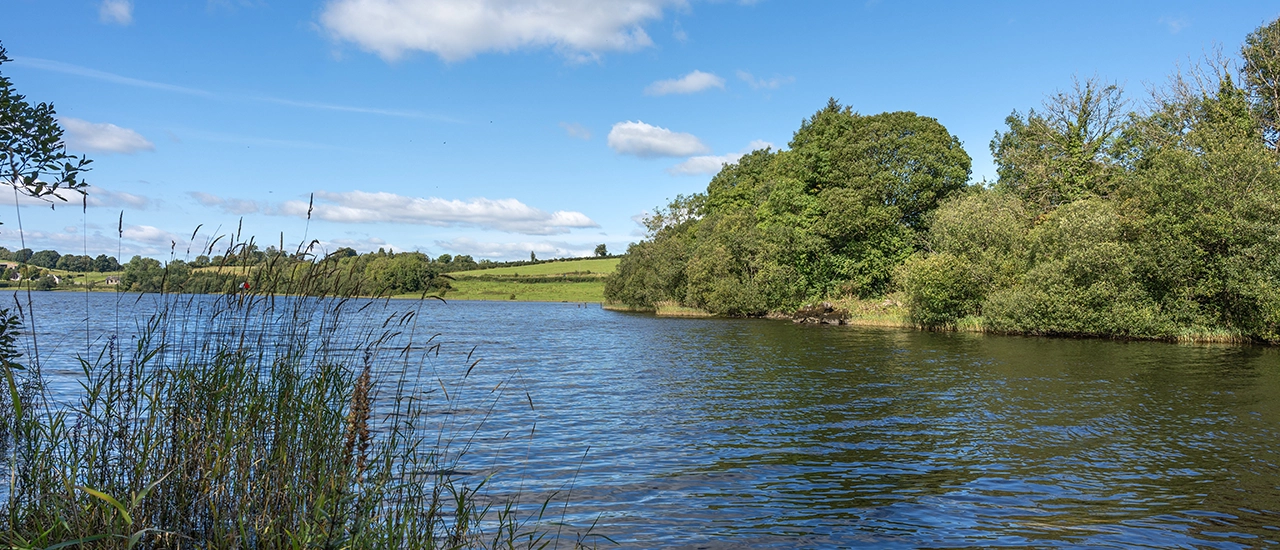 Haughton's Shore Marina