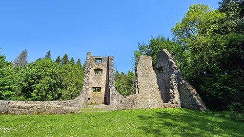 Castle Archdale Tom's Island