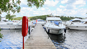 Ely Lodge Forest - Carrickreagh Jetty Walk