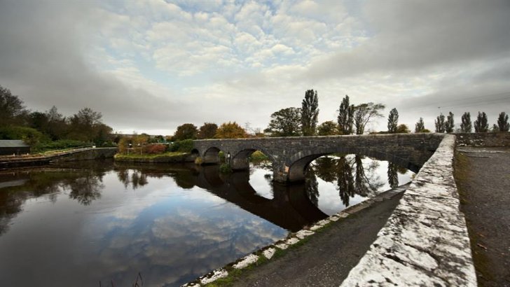 Detailed Map of Monasterevin
